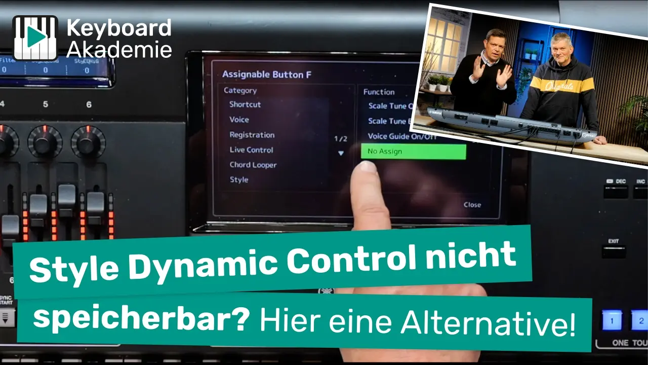 Style Dynamic Control nicht speicherbar? Hier eine Alternative!