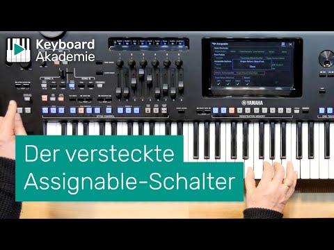 Der versteckte Assignable-Schalter | Power-Tipp