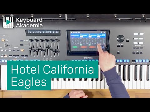 Hotel California // Eagles // KA live