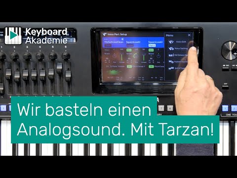 Wir basteln einen Analogsound und Tarzan ist auch dabei | Power-Tipp